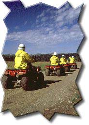 Family Activities