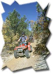 Zion Biking